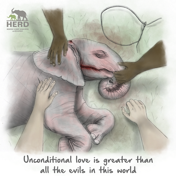 Wisdom 02 – Unconditional love is greater than all the evils in this world.