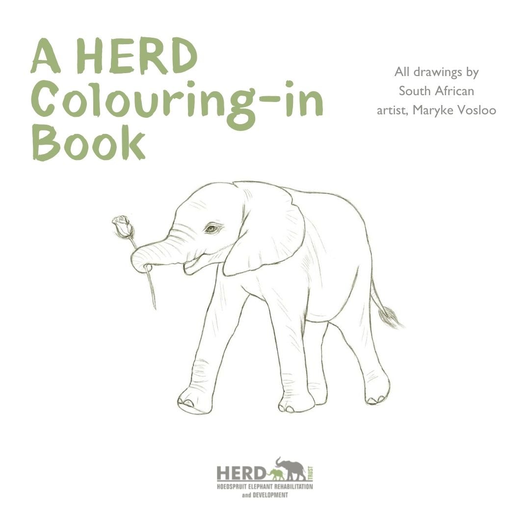 HERD Digital Colouring-In Book