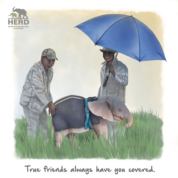 Wisdom 06 – True friends always have you covered.