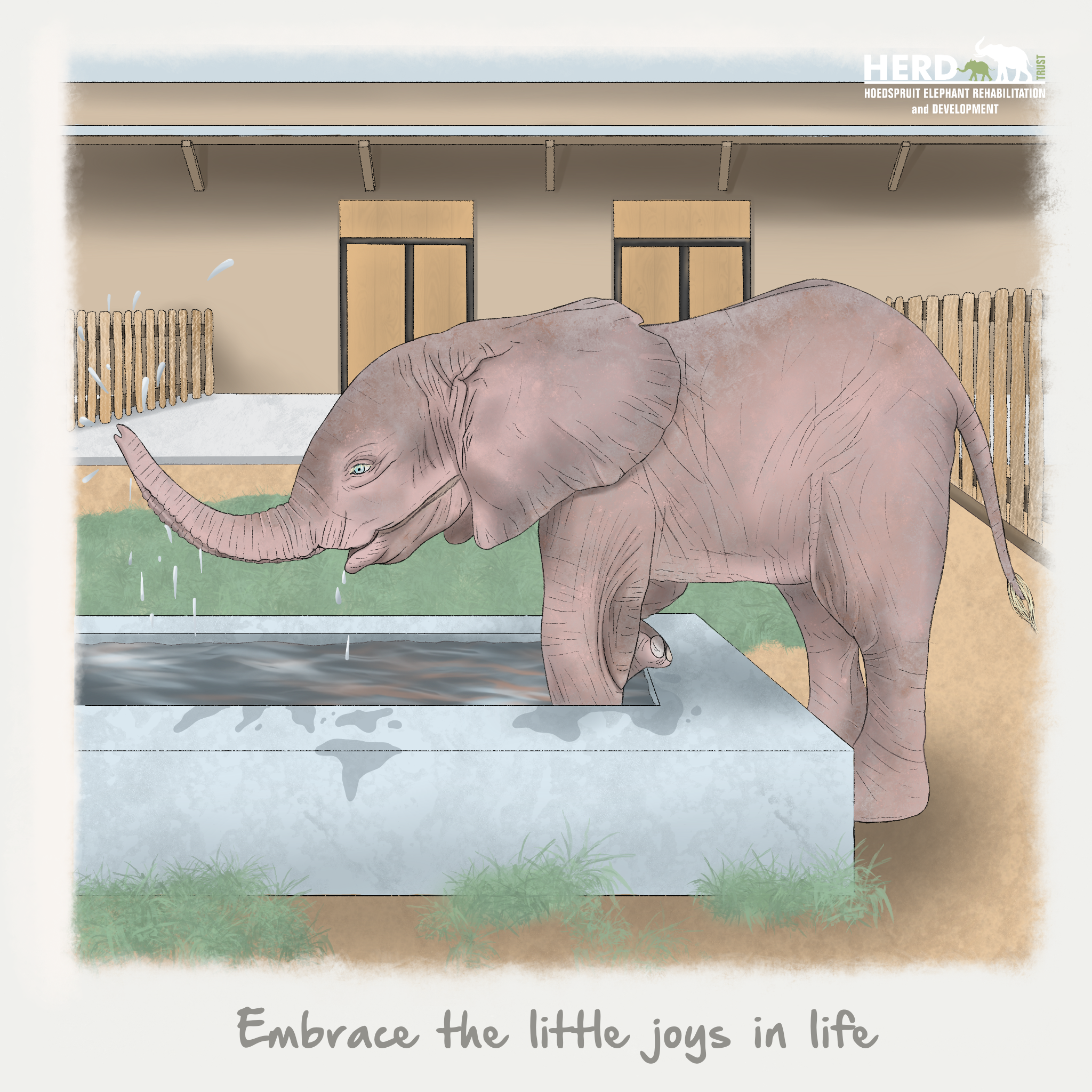Wisdom 08 – Embrace the little joys in life.