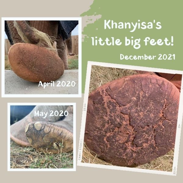 Khanyisa's Great & Growing Feet #KhanyisaGoingOnTwo