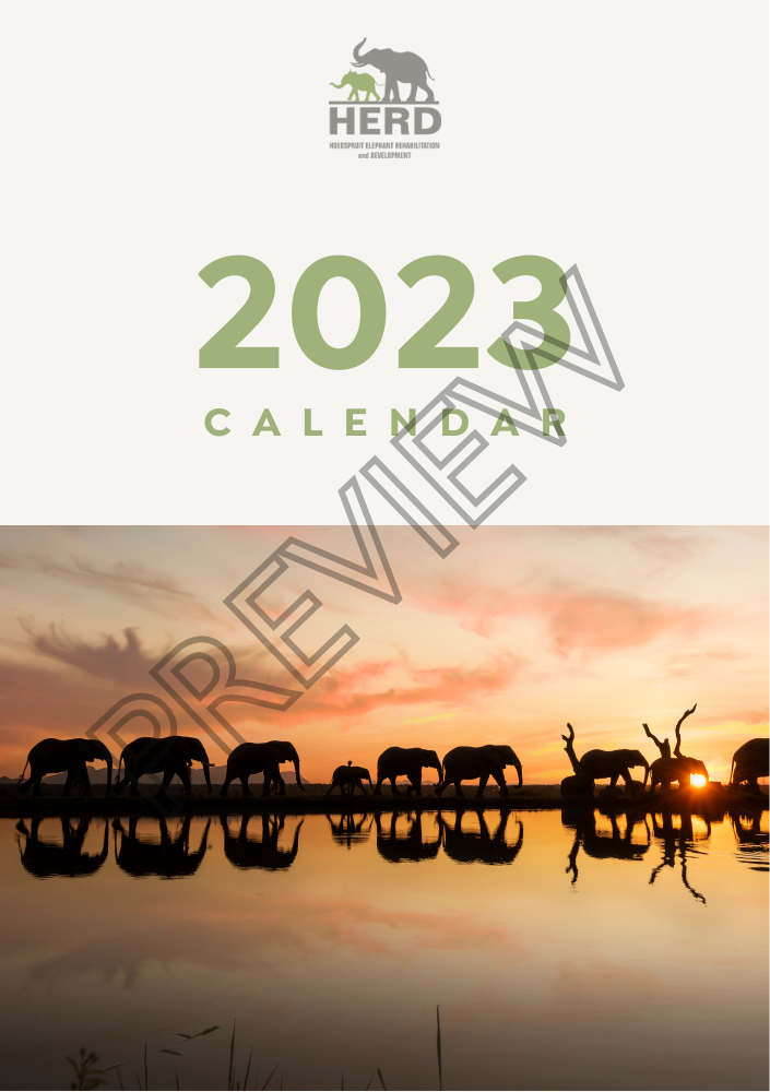 2023 Calendar – HERD