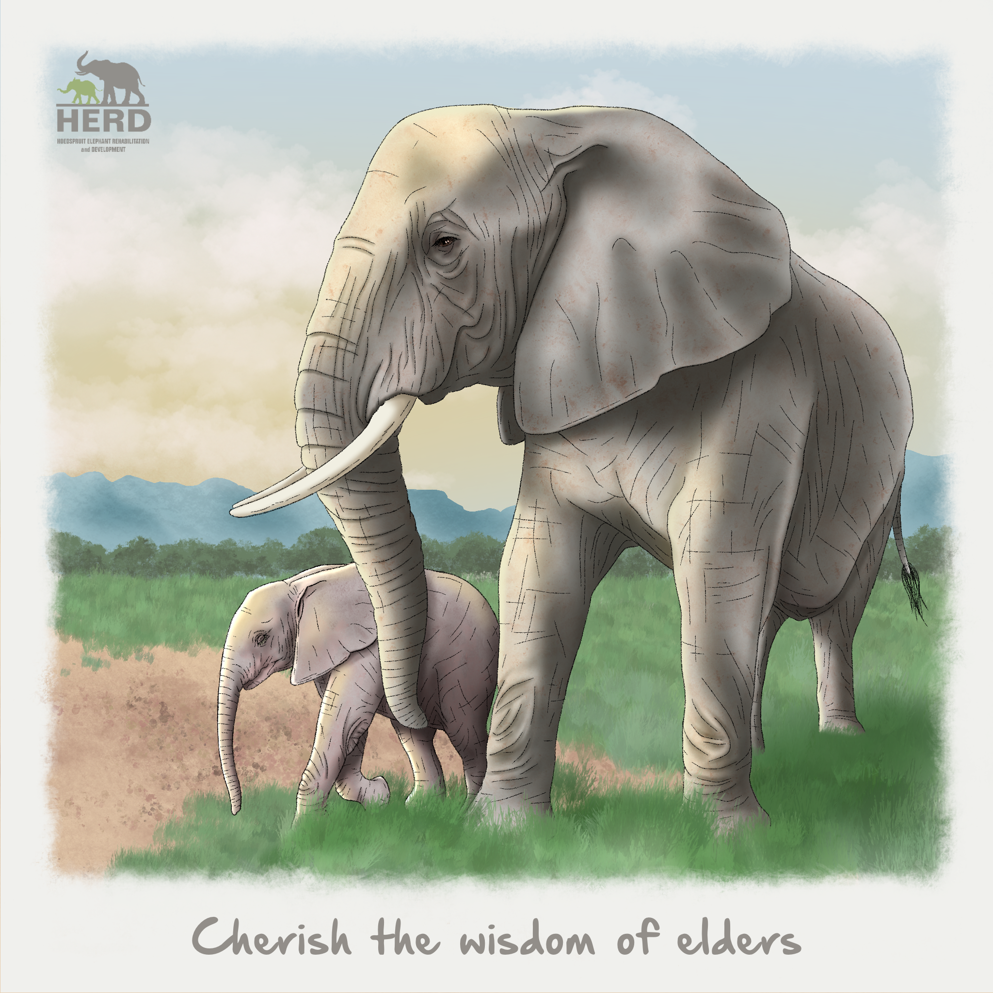 Wisdom 17 – Cherish the wisdom of elders.