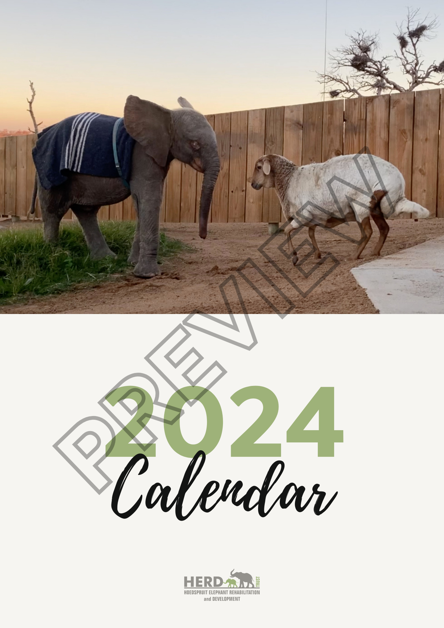 2024 Calendar (Digital)