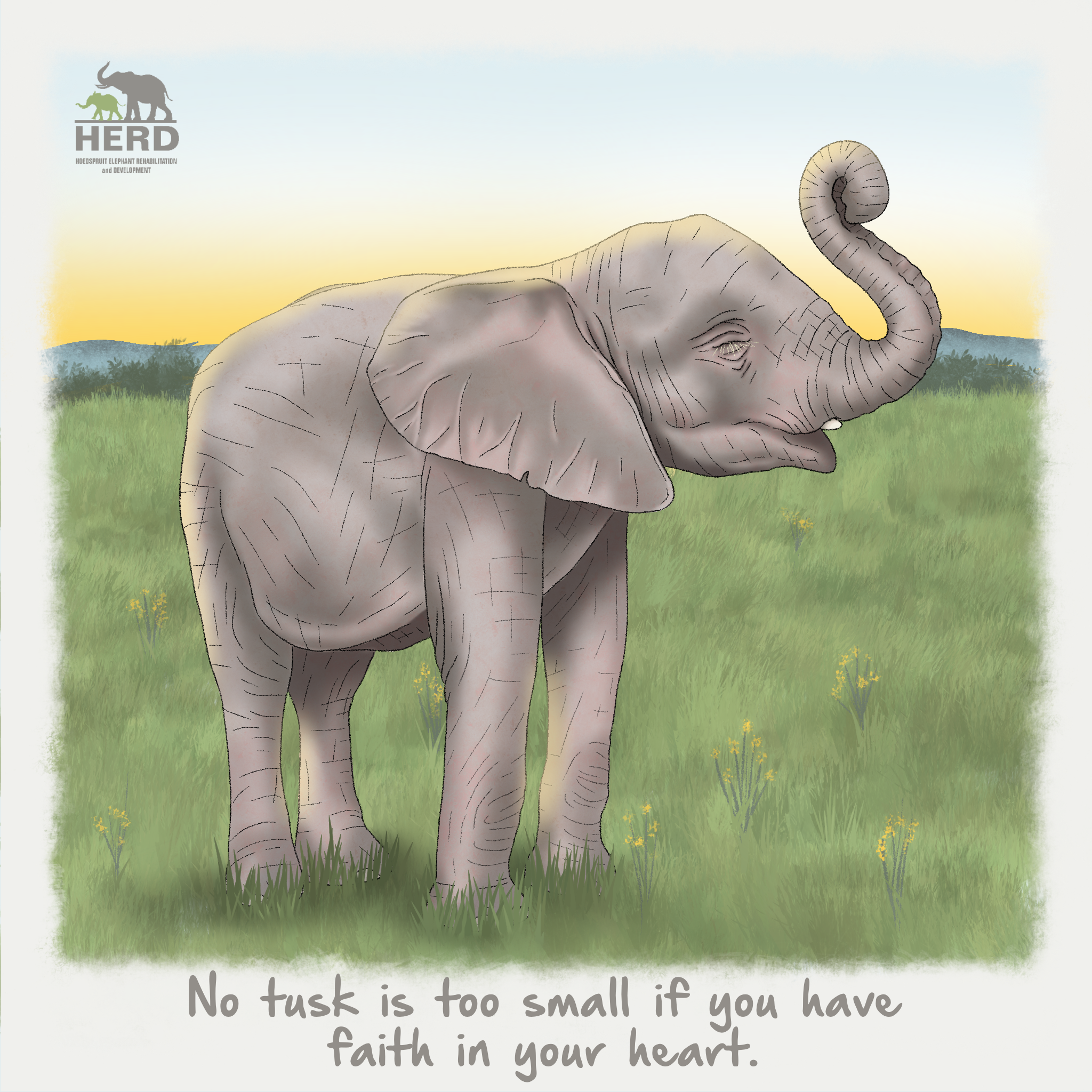Wisdom 19 – No tusk is too small if you have faith in your heart.
