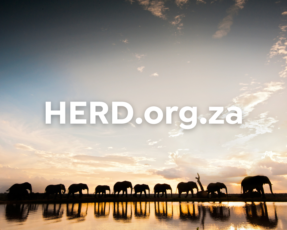 HERD.org.za (1)