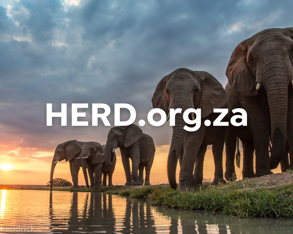 HERD.org.za