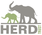 HERD