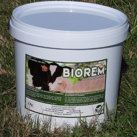 Medical Supplies: Biorem (500g)