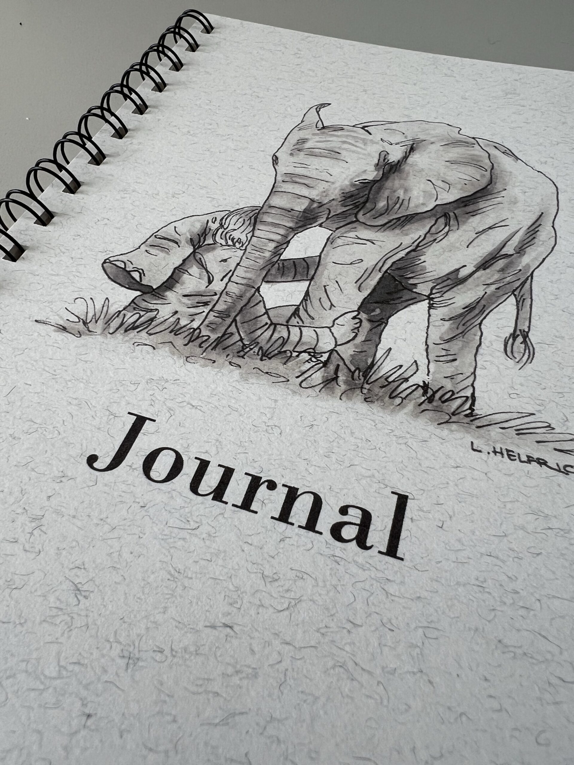 HERD Journal