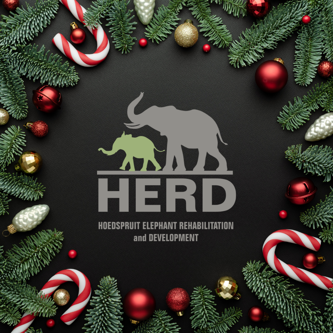 HERDmas Digital Advent Calendar 2024