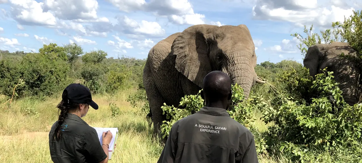 Elephant-Research-img