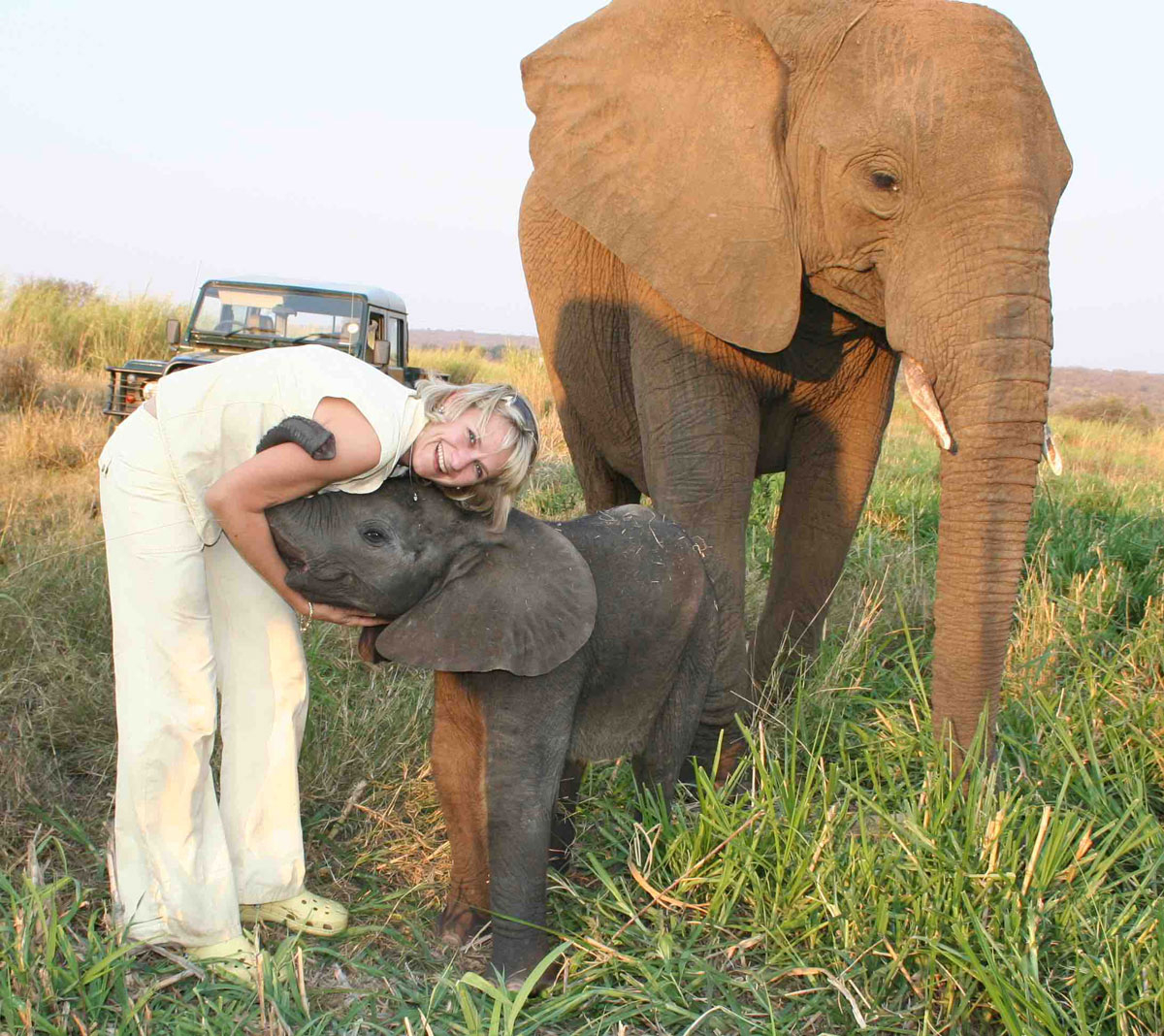 The herd gallery img