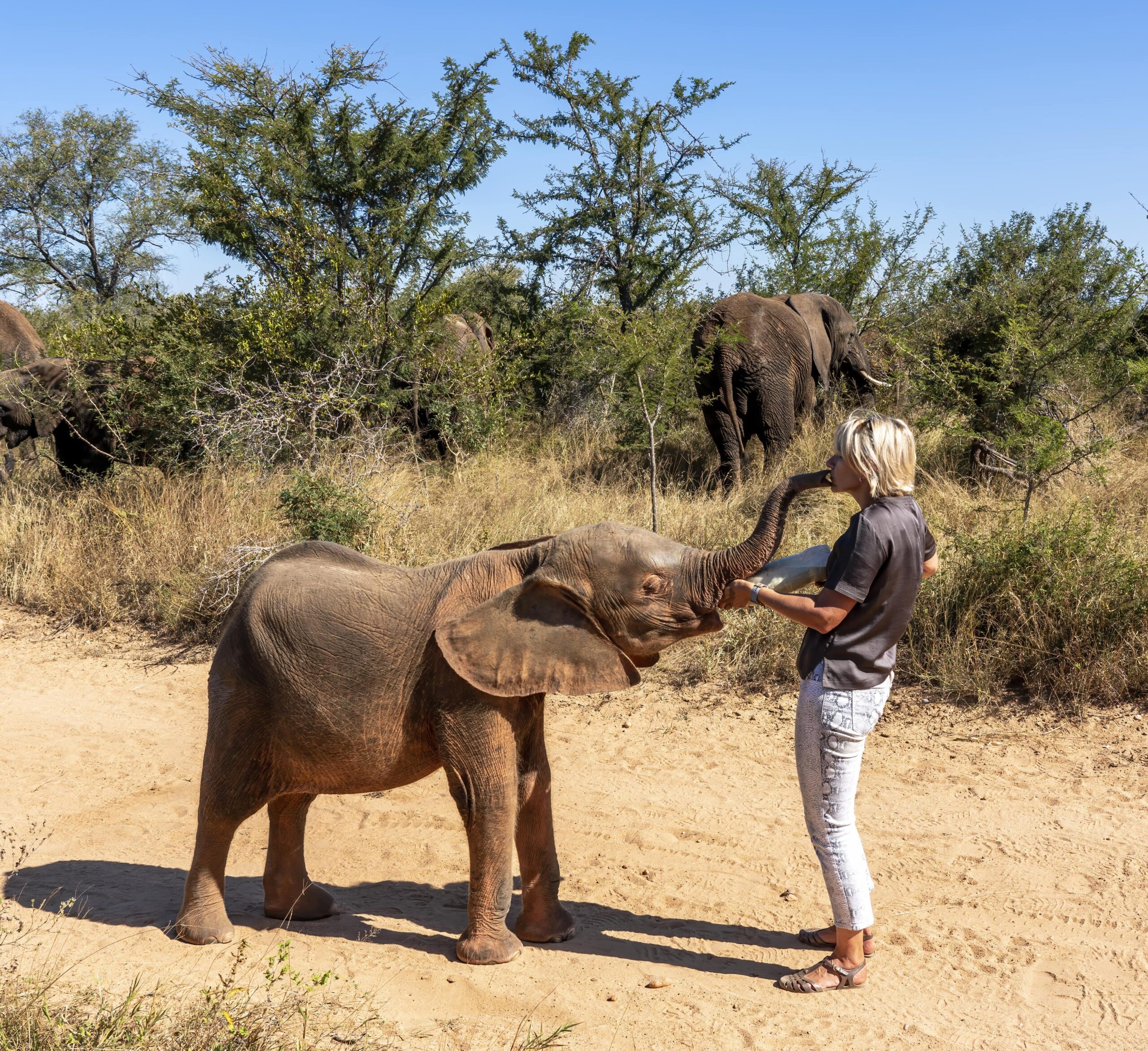 Adine-and-Khanyisa-bottle-min-scaled