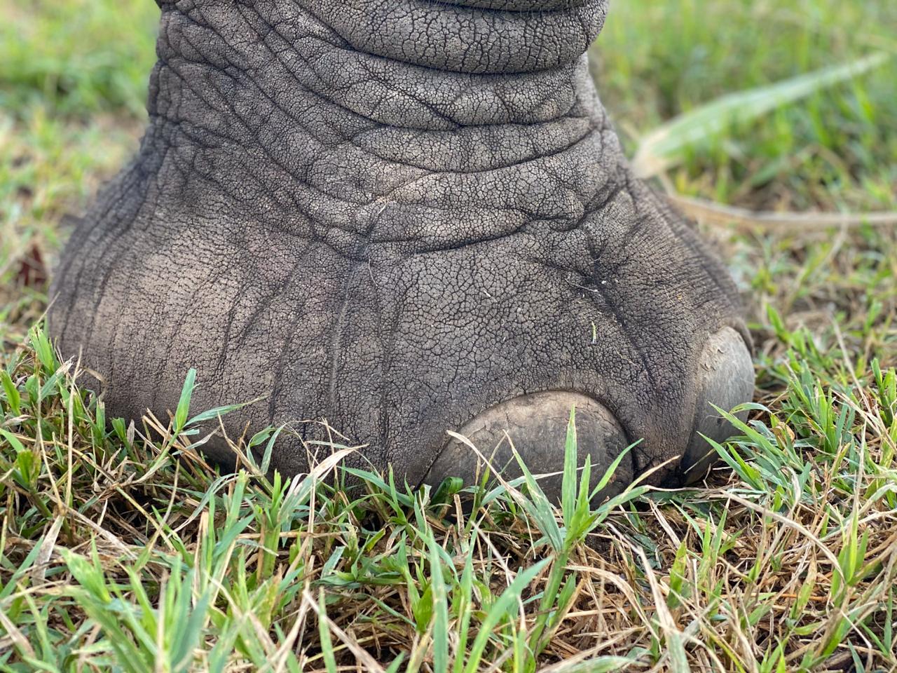 PHOTO-2020-04-17-18-56-45-1