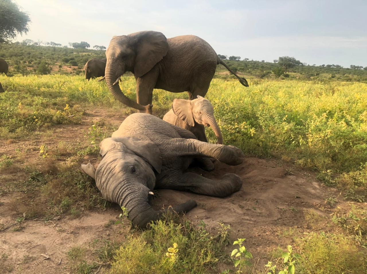 c15b88a5-3fc5-4386-a174-cfc6f0bfb45a