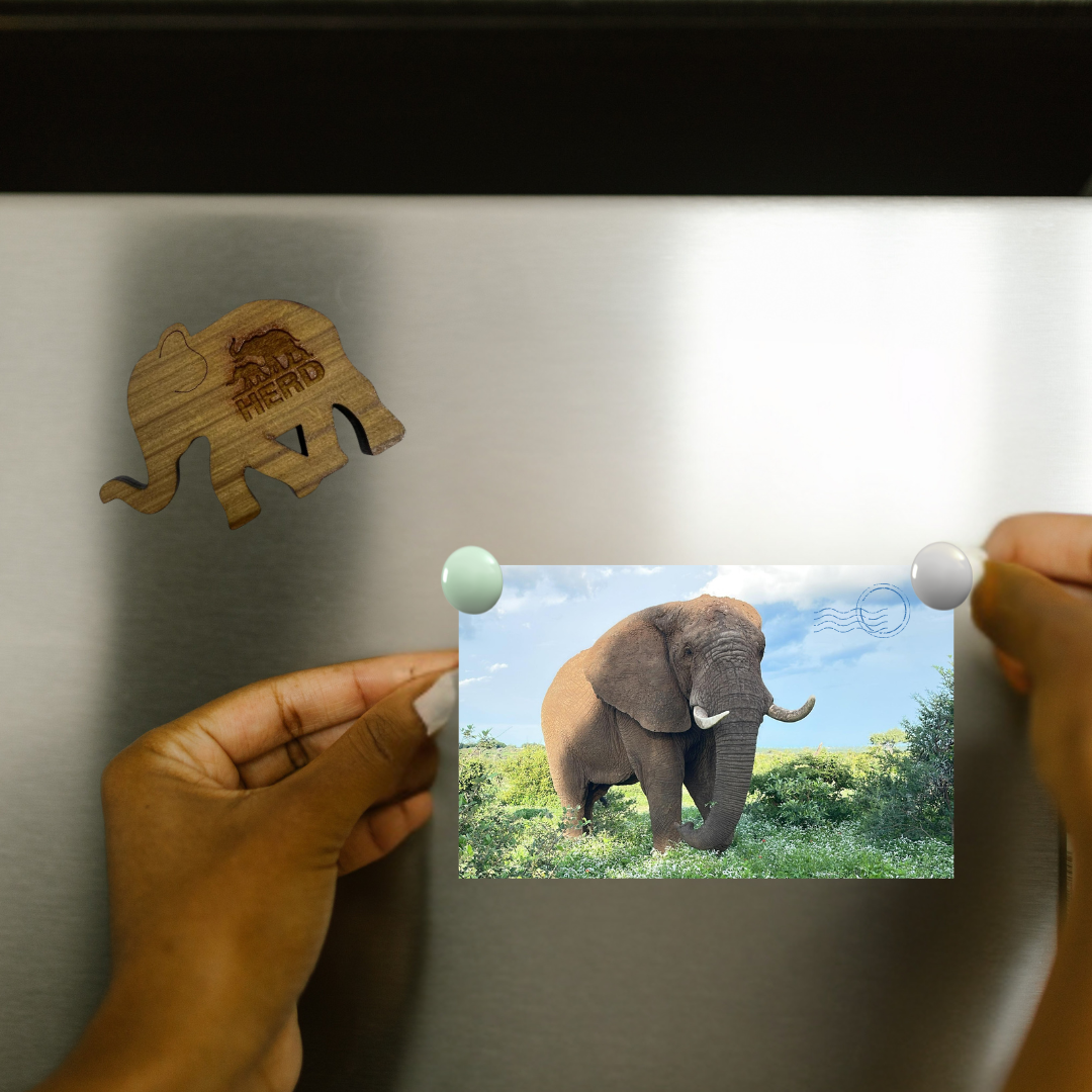 Fridge Magnet (1)