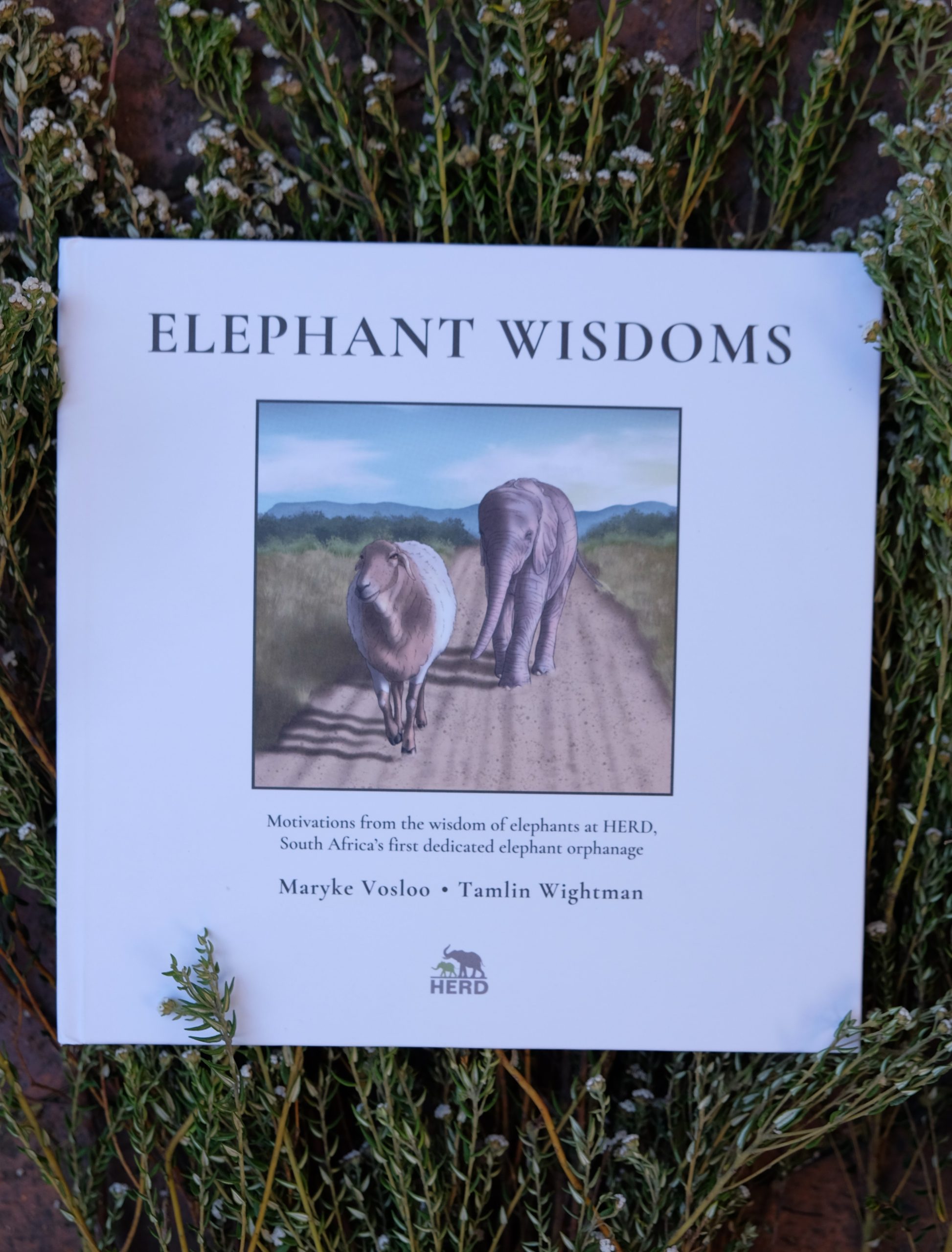 Wisdom Book