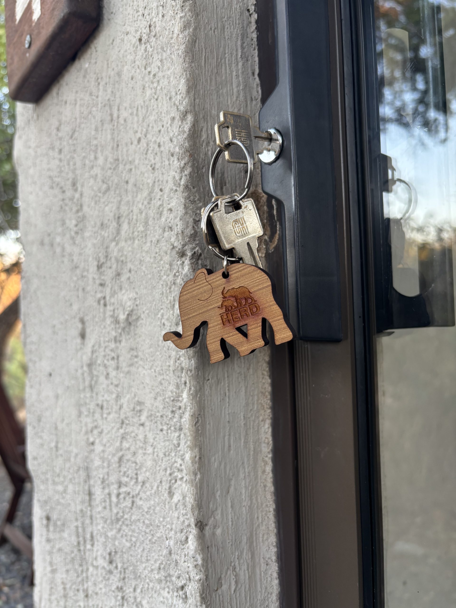 Keyring (6)