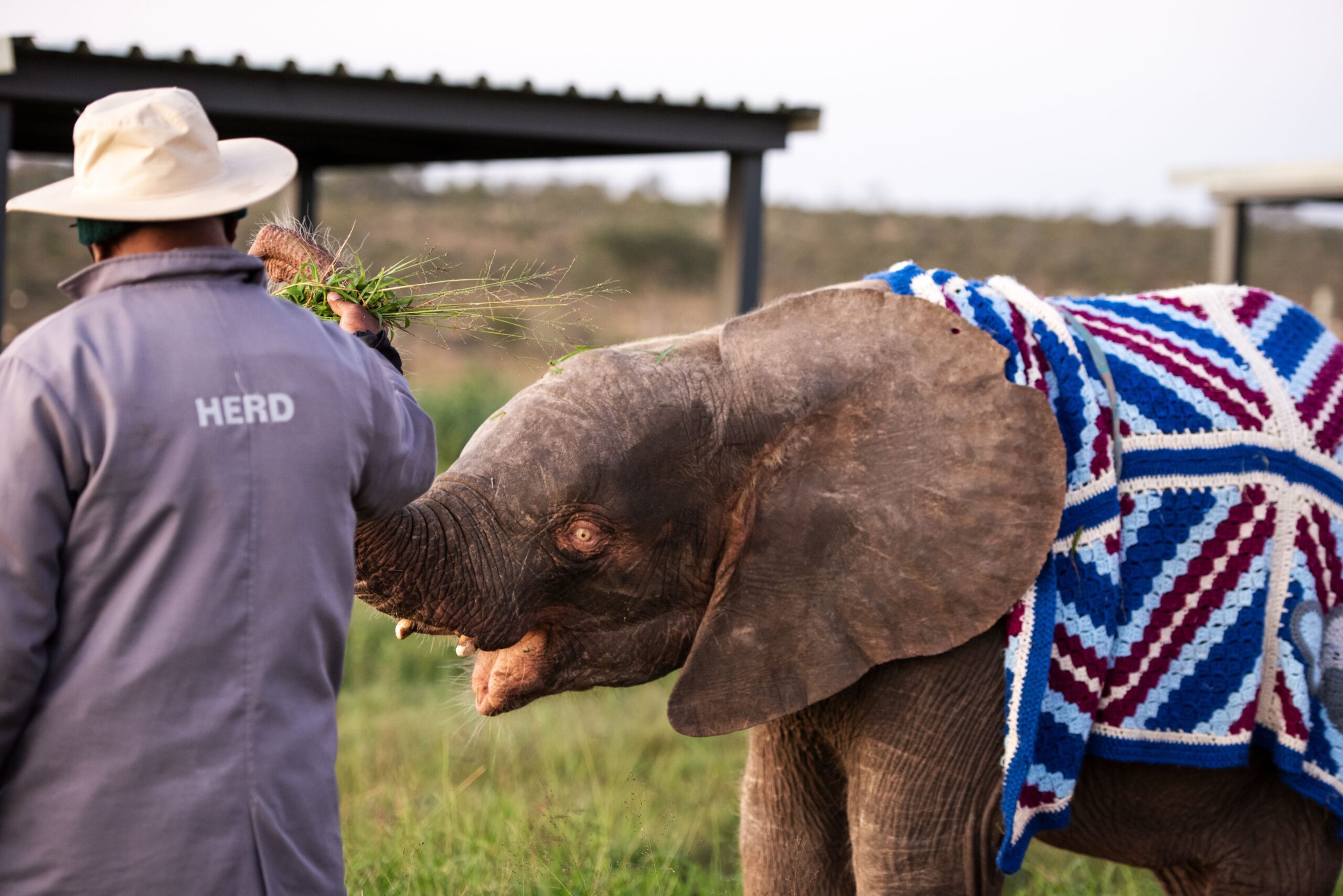 Khanyisa_227_LKH_6339 (1)