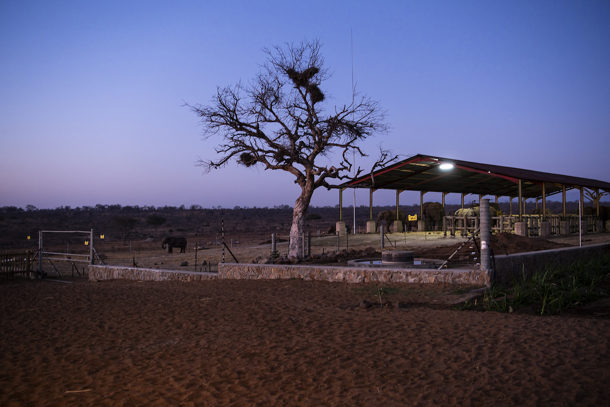 Sustainable Rodent Control