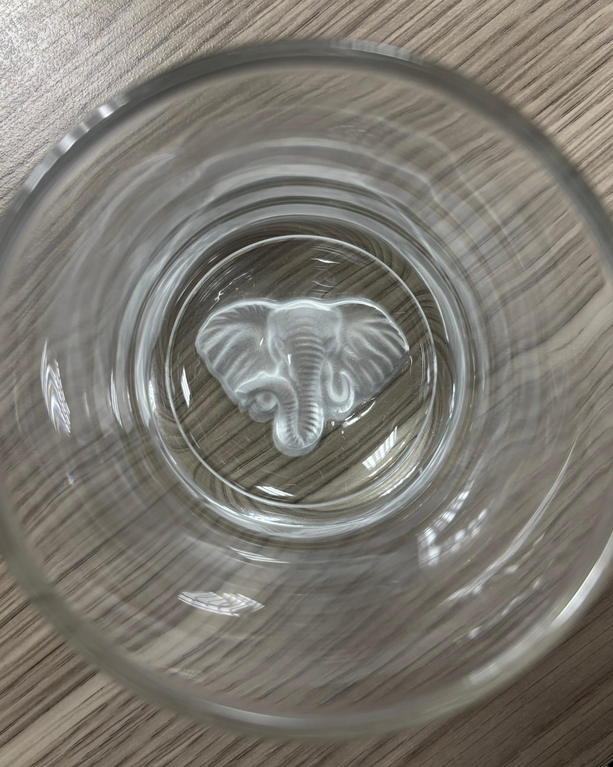 African Elephant Tumbler