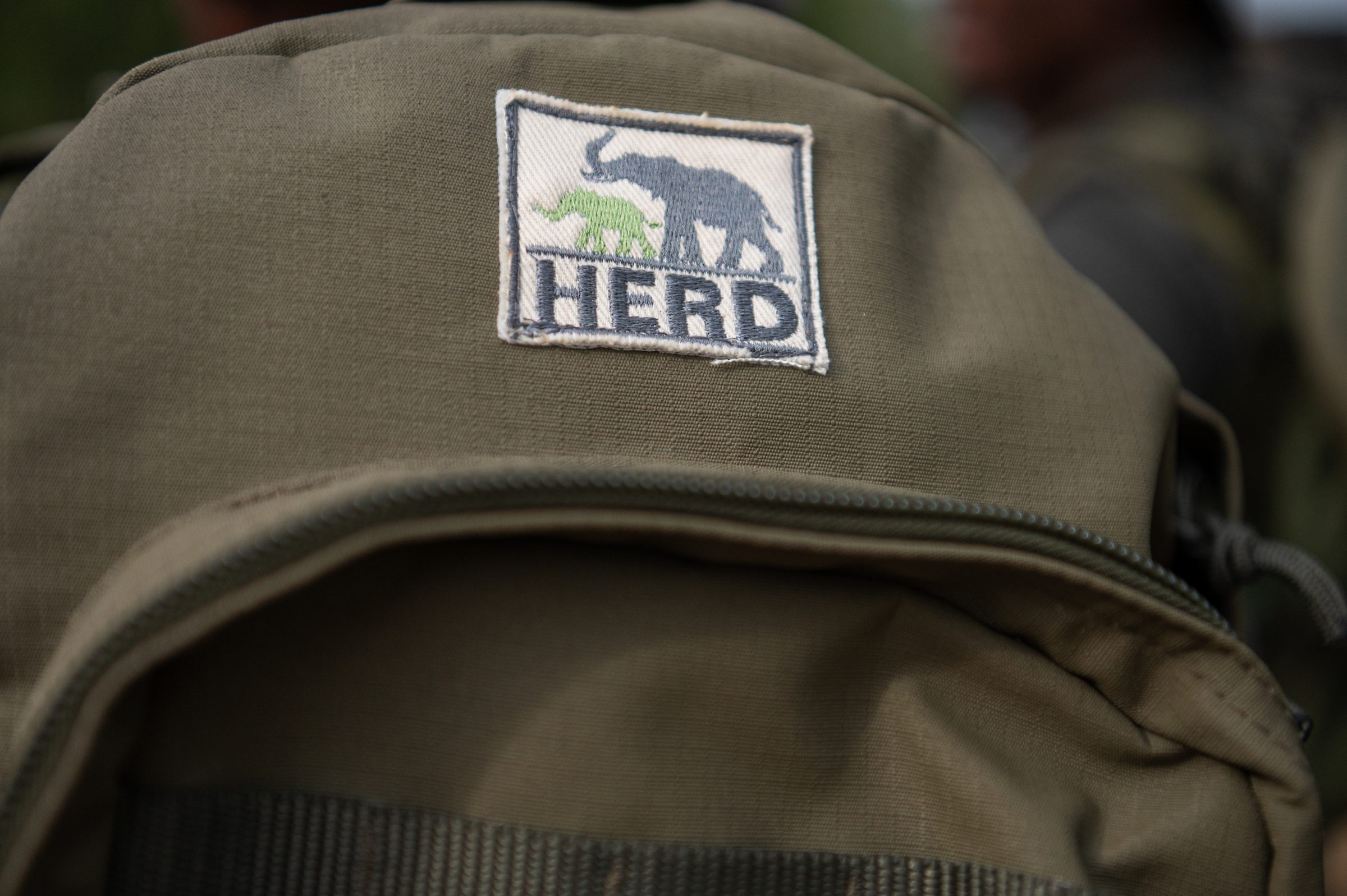 HERD Patch
