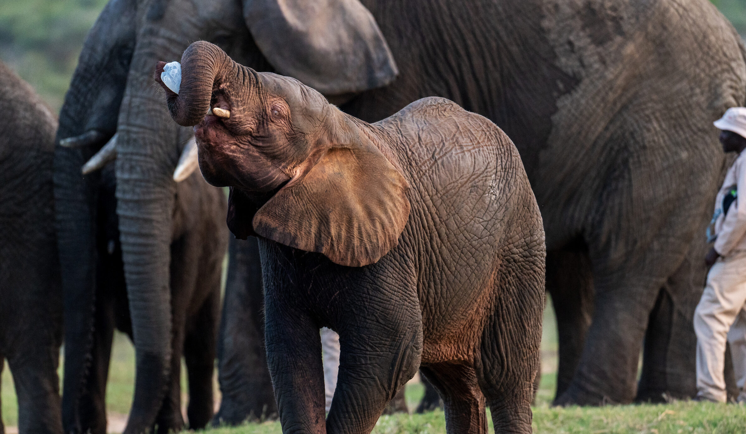 Homestead_283_DSC_4100