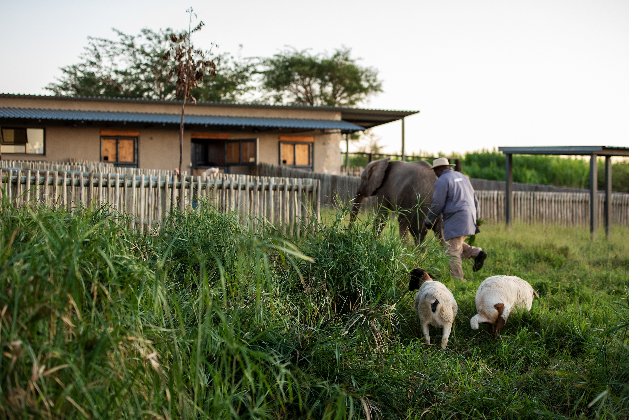 Khanyisa_155_LKH_3670