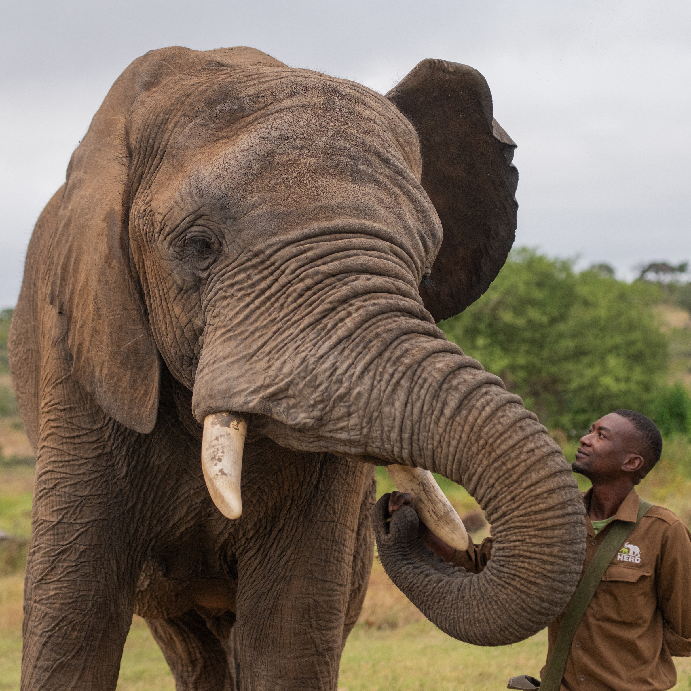 Carers_199_JDSC_4401