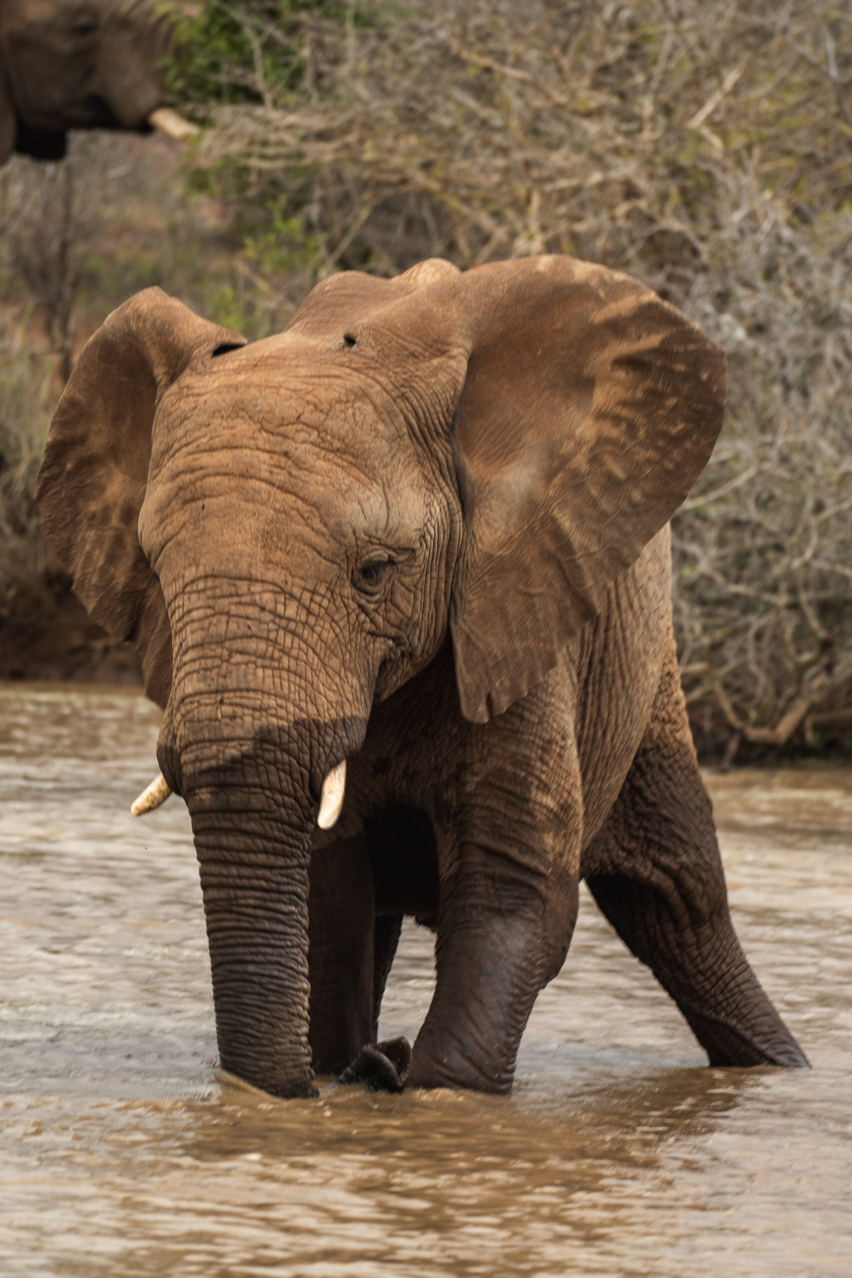 Klaserie-in.-dam-Oct-2020-Mike-Eloff-2-scaled