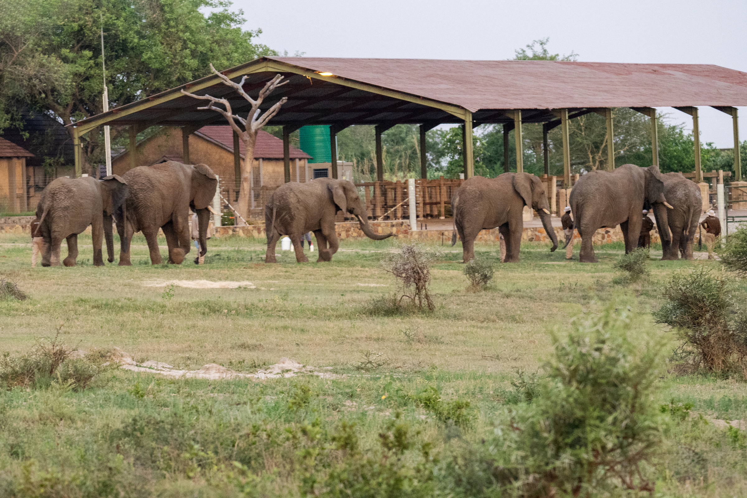 Homestead_081_DSC_2260