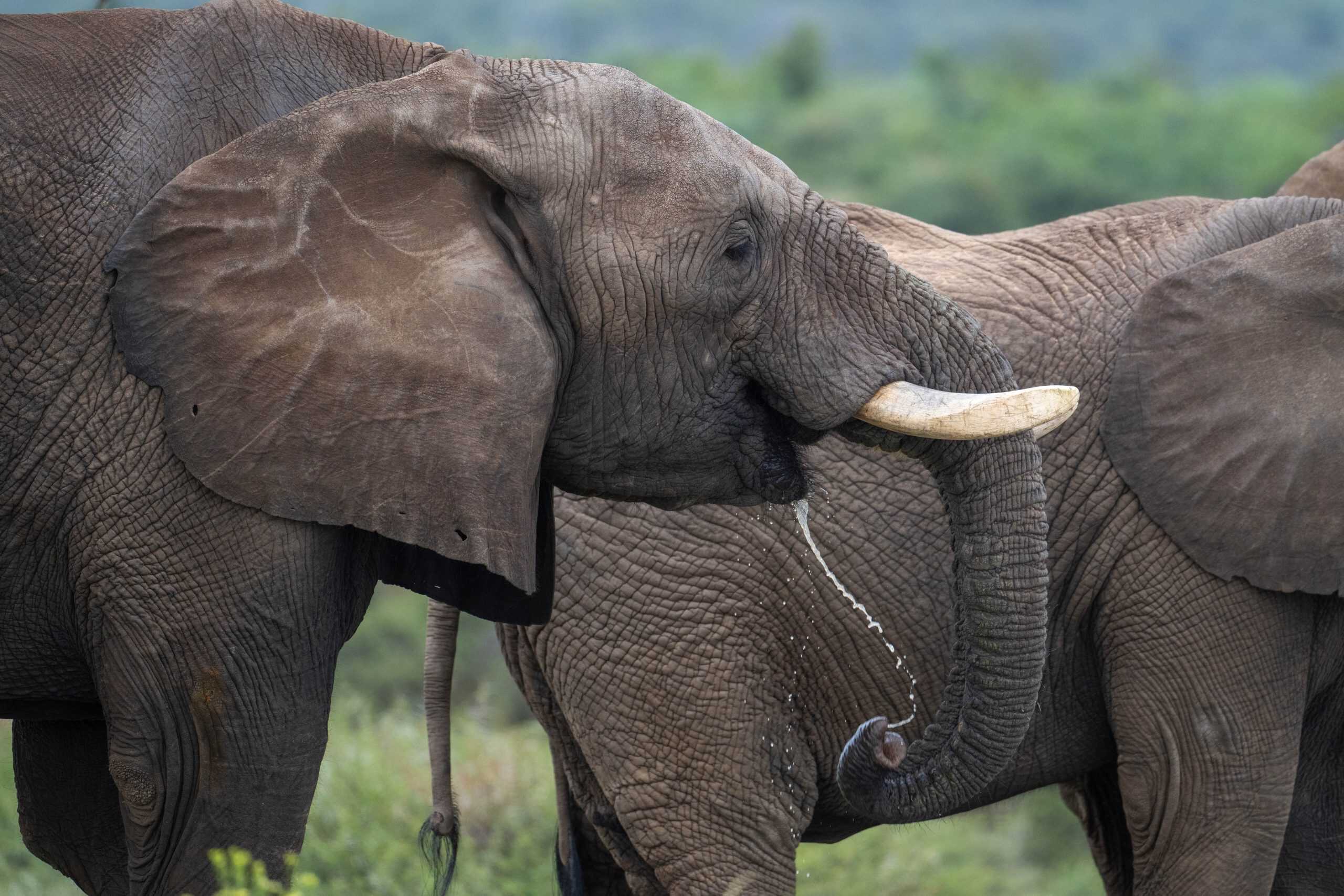 632. Fishan Liane Kim 18.03.2025 170_DSC_0587