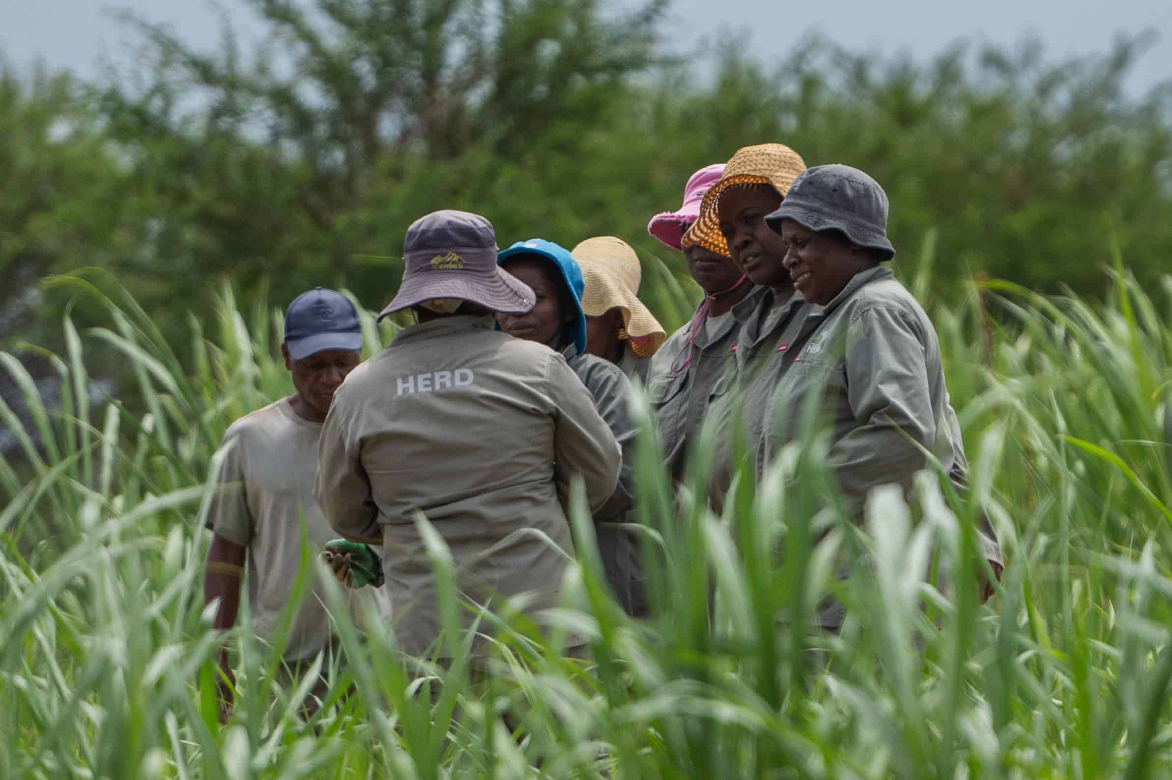 Banna_049_CWJ_6221 (2) (1)