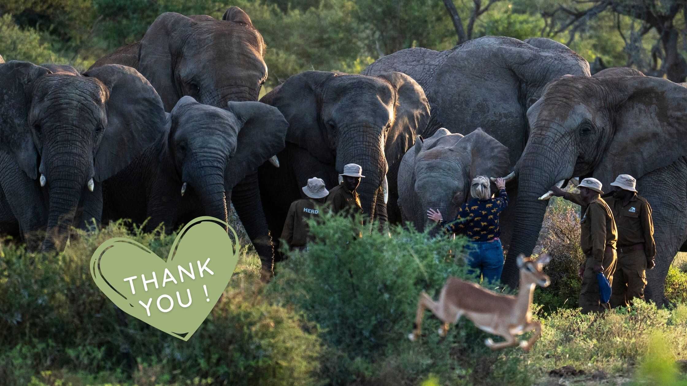 HERD Blog & Newsletter Banners (16)