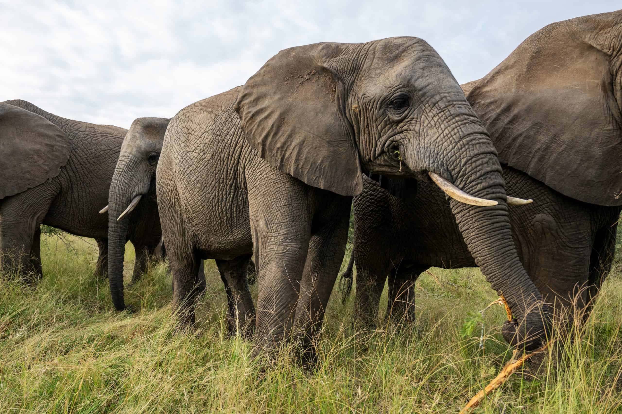 21.02.2024 by Liane Kim DSC_3447 KUMBURA LIMPOPO