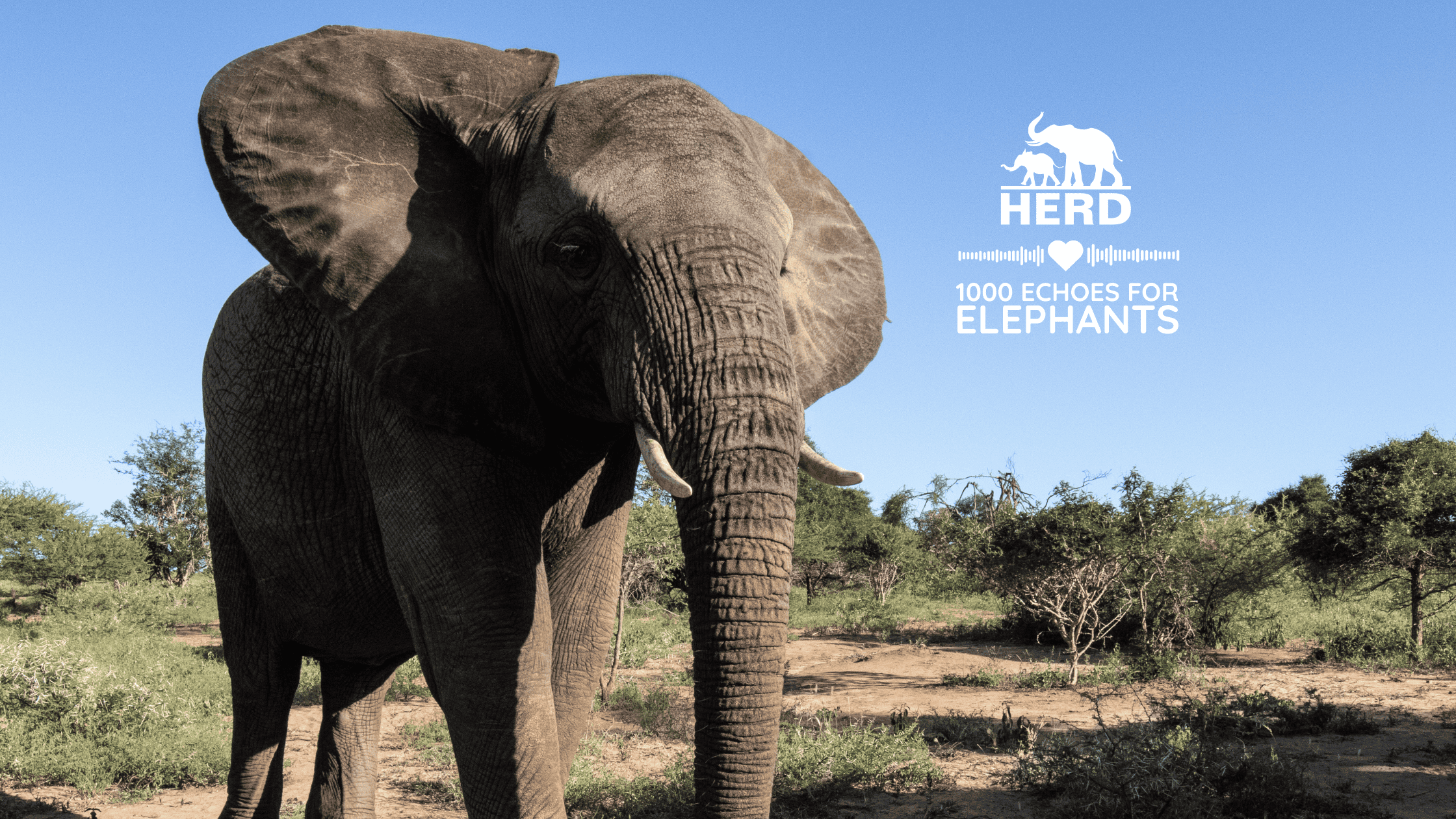 HERD Blog & Newsletter Banners (9)