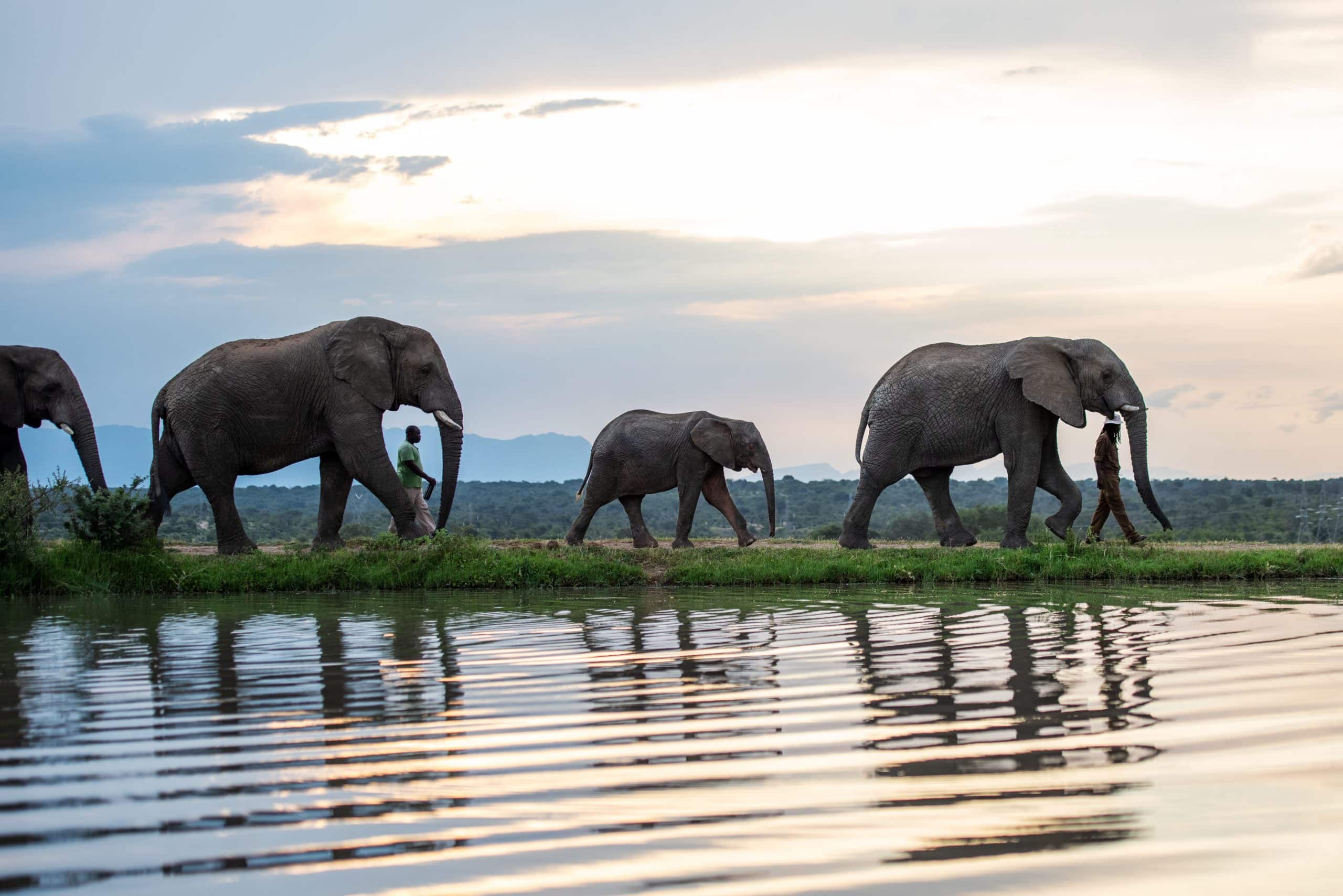Zindoga-Jabulani-Khanyisa-Mambo-scaled
