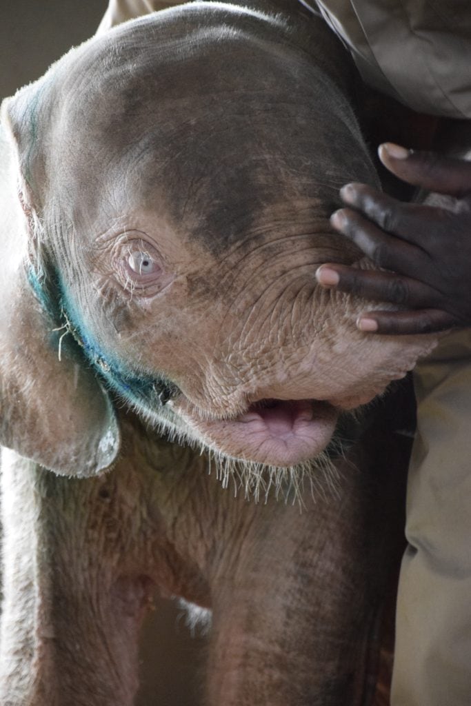 Khanyisa orphan