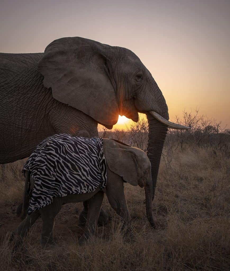 Khanyisa orphan